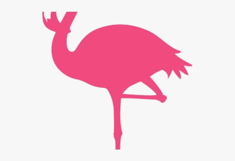 Drawn Santa Hat Clear Background - Flightless Bird, transparent png download