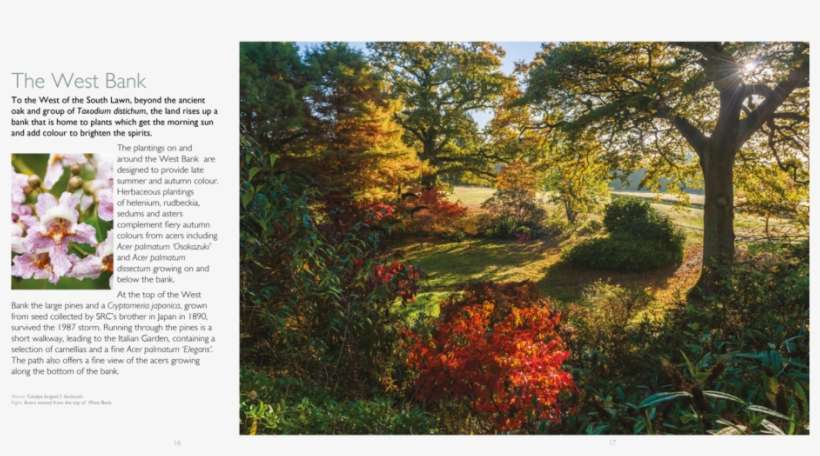 Borde Hill - Botanical Garden, transparent png download