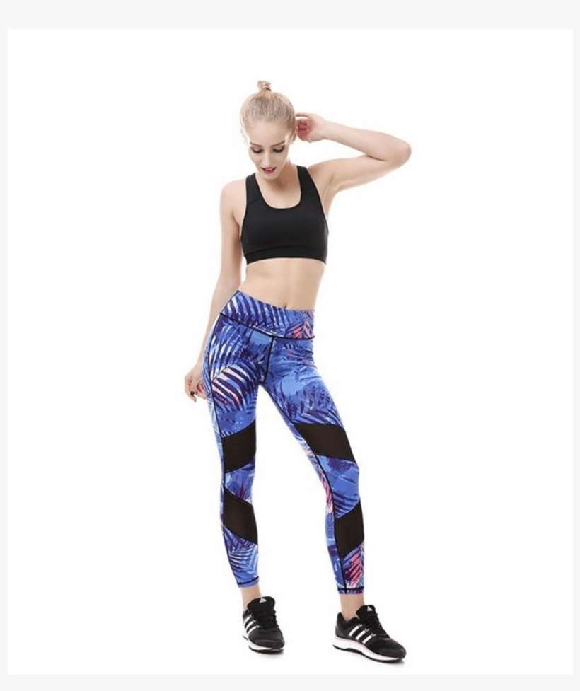 Click To Enlarge - Tights, transparent png download