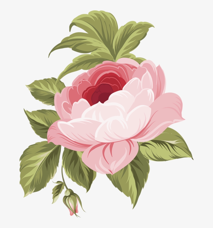 Фото, Автор Olga - White Flowers Png Transparent, transparent png download