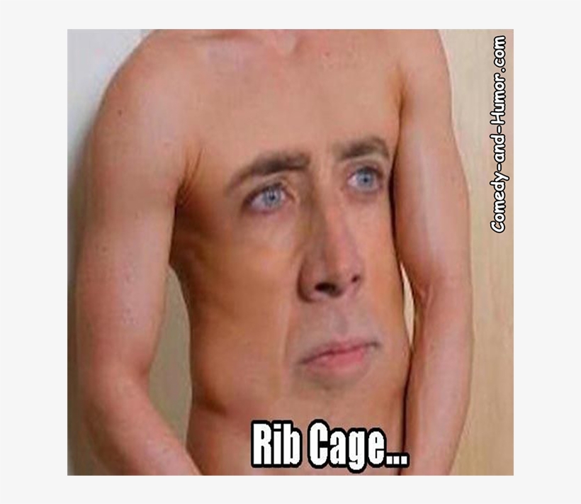 Rib Cage - Photo Caption, transparent png download