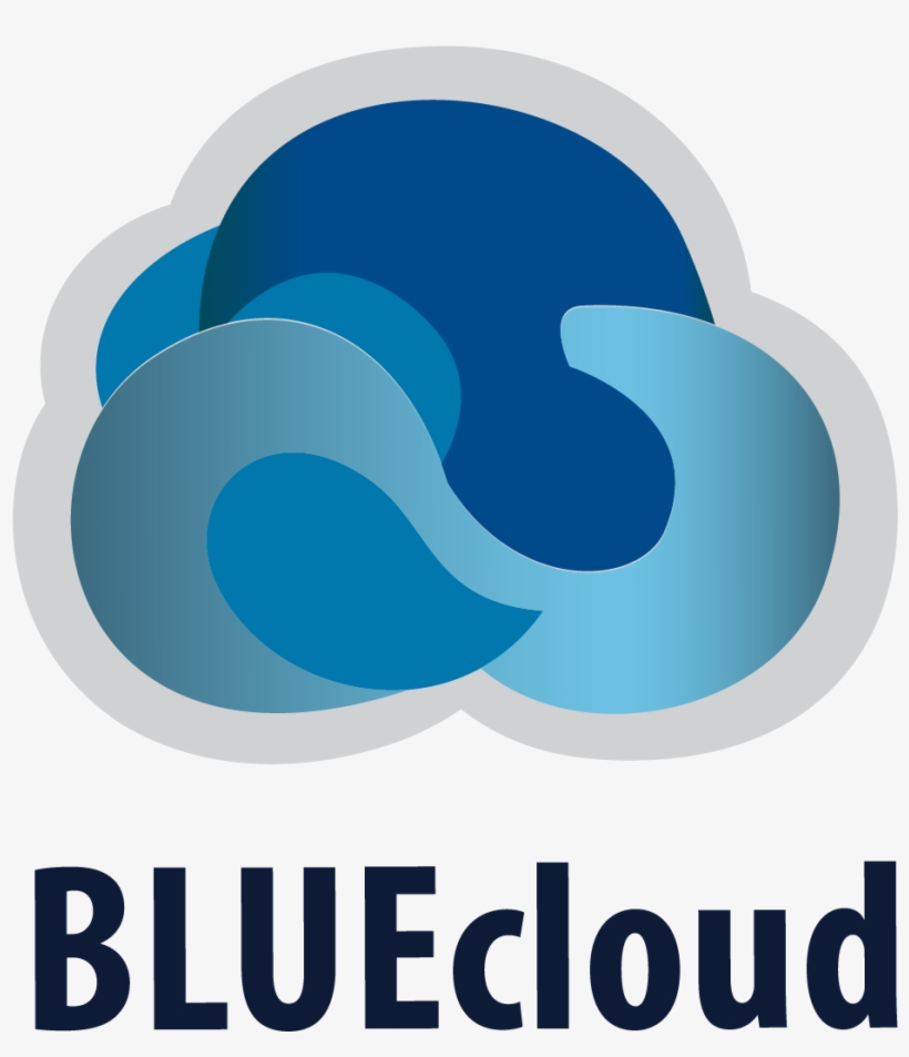 Why We Decided Bluecloud Acquisitions Should Be 100% - Sirsidynix Bluecloud, transparent png download
