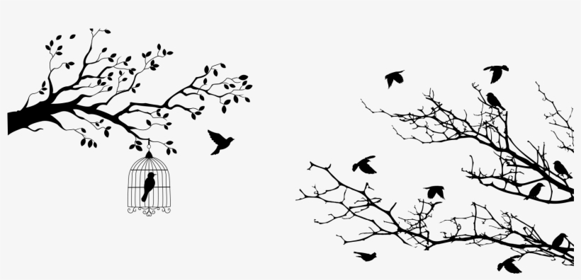 Fountains Water And Fire At The "savona Half Marathon" - Tree With Bird Cage Silhouettes, transparent png download