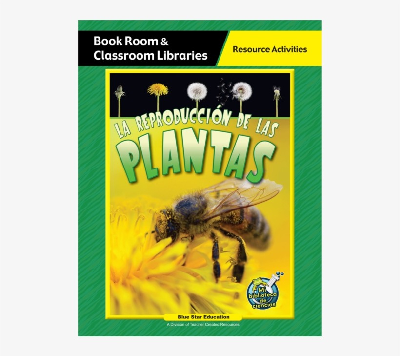 La Reproduccion De Las Plantas - Reproduction In Plants, transparent png download