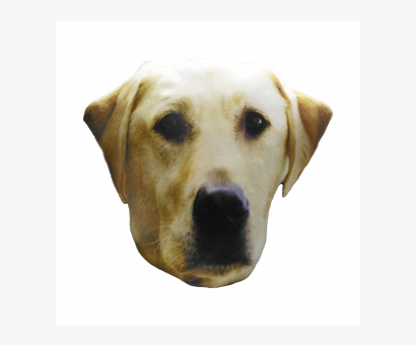 Almofada Cabeça Cachorro "labrador Retriever" - Labrador Retriever, transparent png download