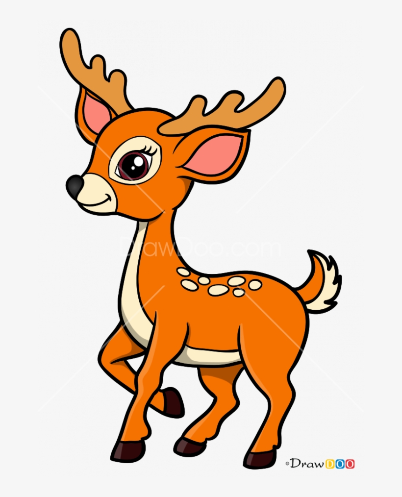 665 X 934 1 - Draw Fawn, transparent png download