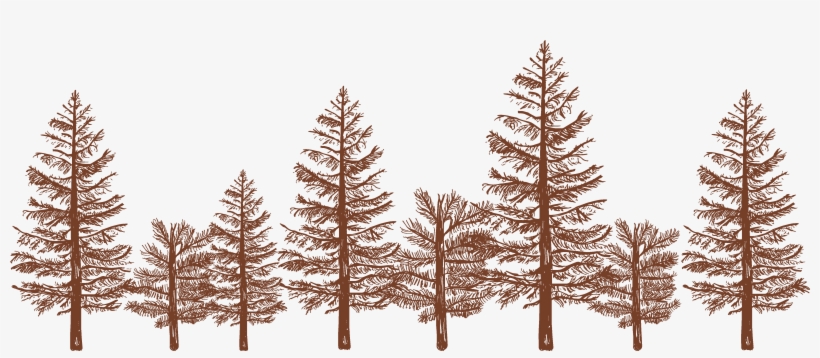 Each Starts A New Chapter In Your Life And Each Is - White Pine, transparent png download