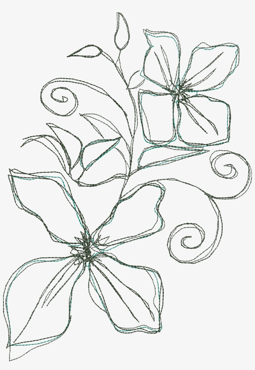 Clematis Doodle - Line Art, transparent png download
