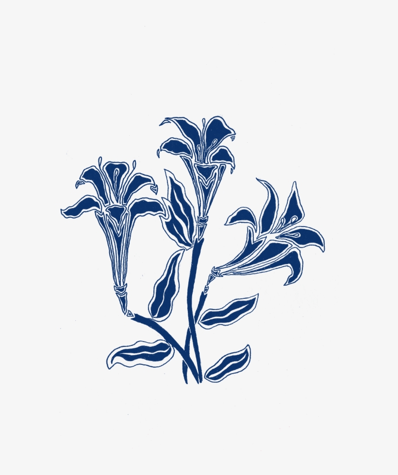 This Was Another Little Doodle I Did Using Ink On Paper - Illustration, transparent png download