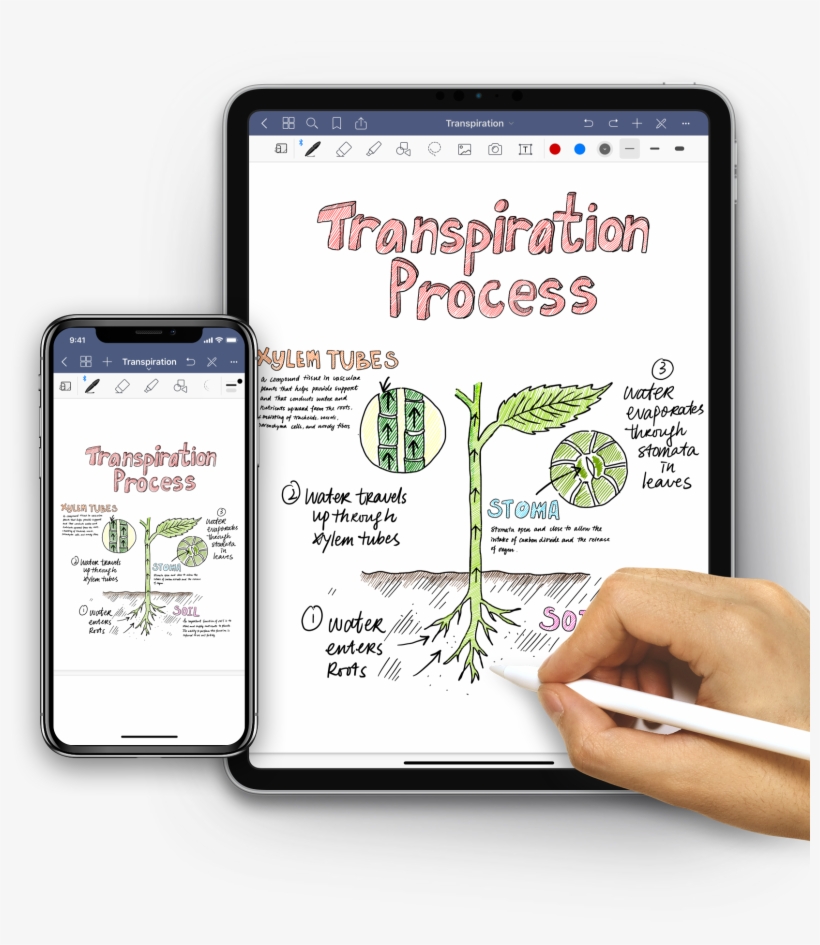 Goodnotes Hero3 2x - Goodnotes 5 Vs Goodnotes 4, transparent png download