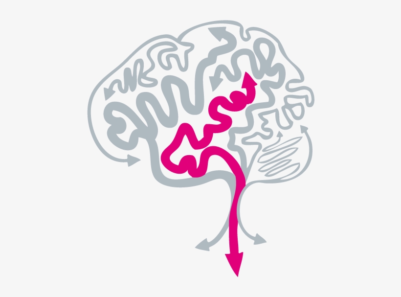 Brain Image - Illustration, transparent png download