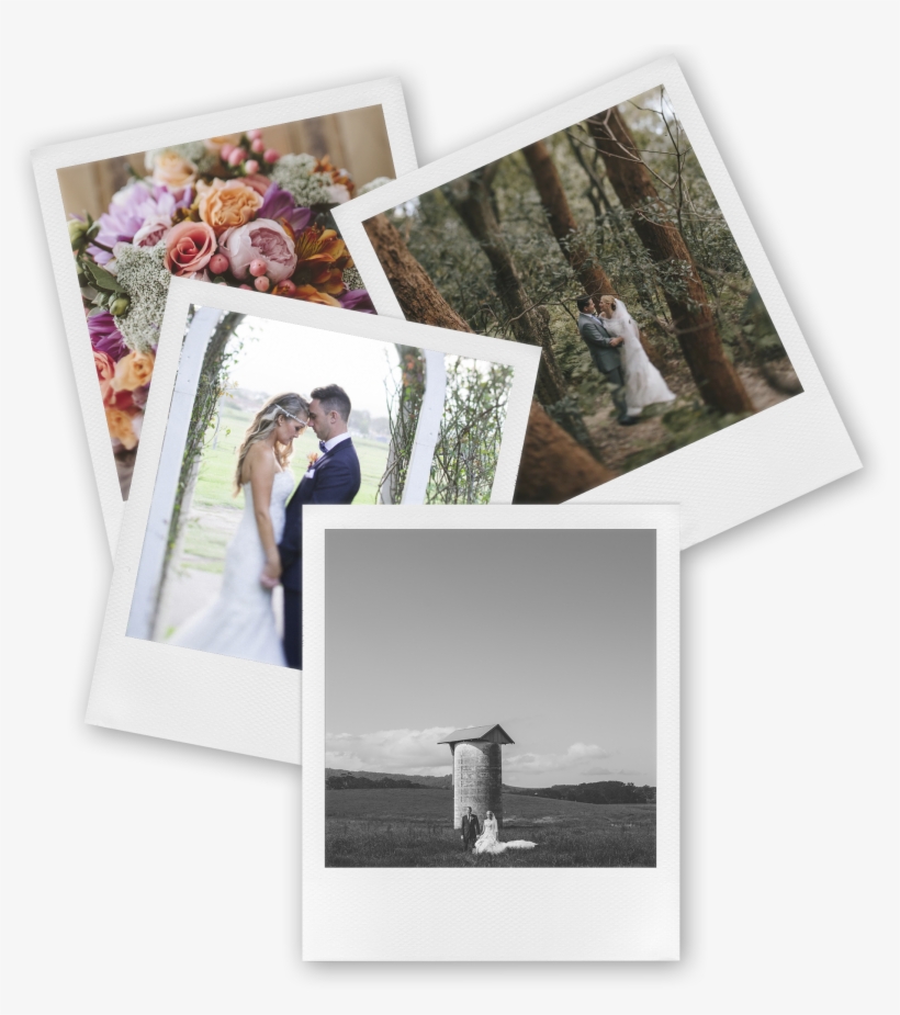Photograph, transparent png download