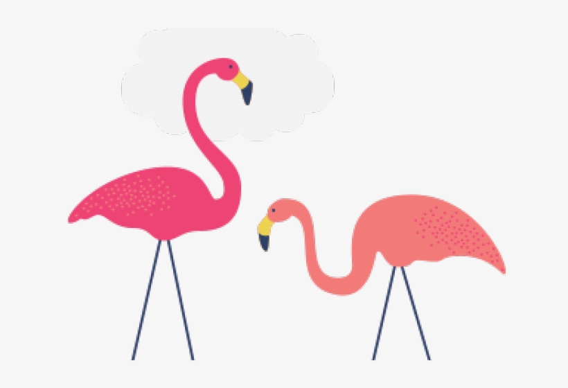 Flamingo Clipart Kawaii - Greater Flamingo, transparent png download