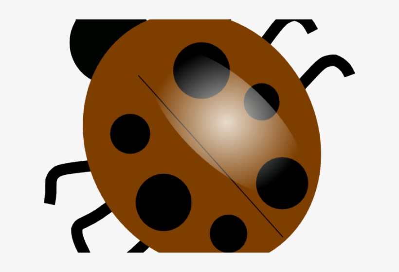 Ladybug Clipart Brown - Dibujo De Un Mariquita, transparent png download
