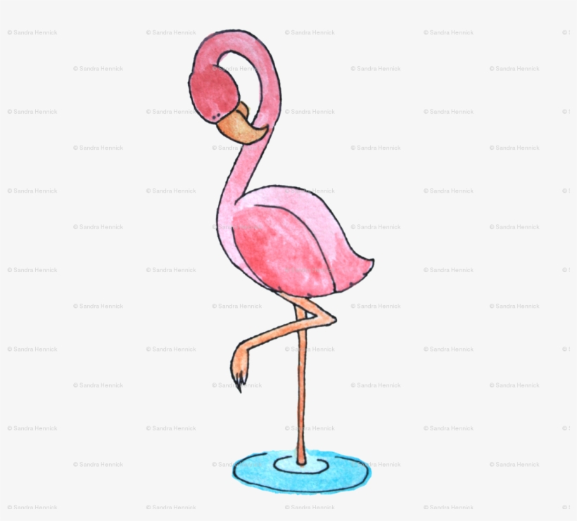 Greater Flamingo, transparent png download