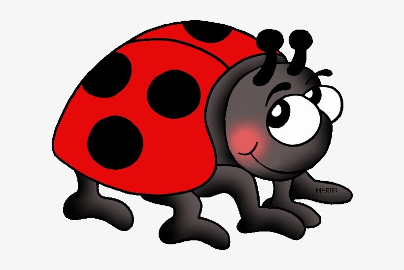 Ladybug Clipart State New York ~ Frames ~ Illustrations - New Hampshire State Insect, transparent png download