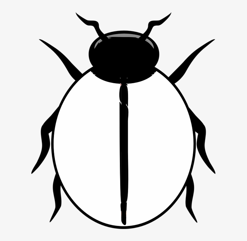 Ladybug Clipart Blank - Dibujo De Un Escarabajo, transparent png download