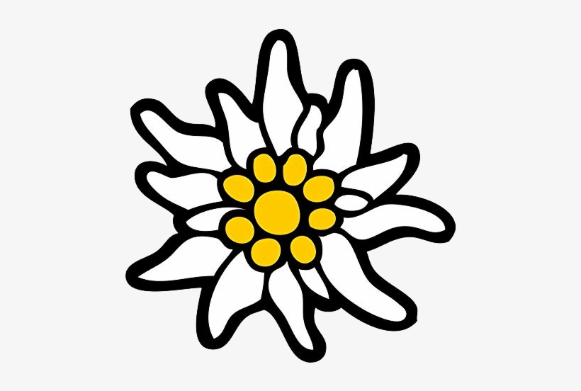 Edelweiss Png, transparent png download