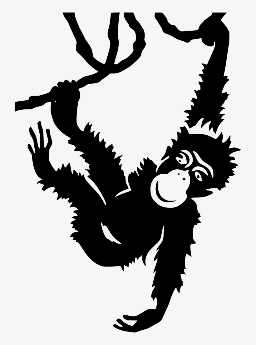 Download Png - Zoo Posters, transparent png download