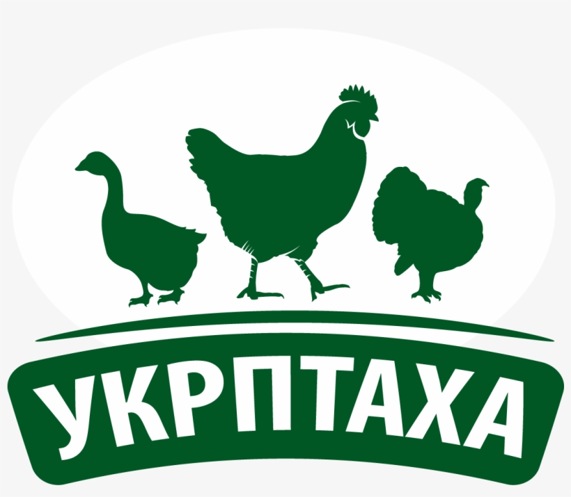 Rooster, transparent png download