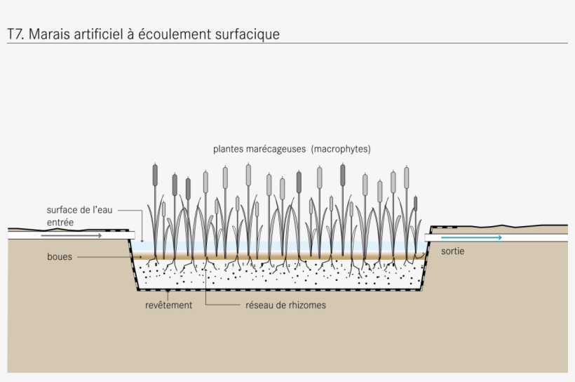 Free Water Surface Constructed Wetland Diagram Fr - Flow Constructed Wetland, transparent png download