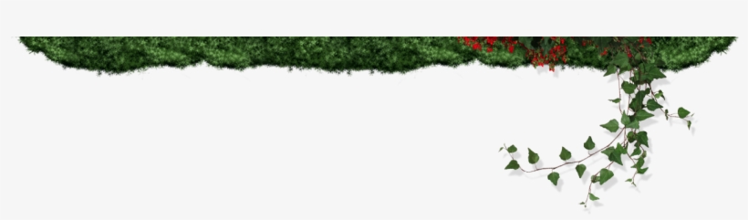 Outdoor Kitchens, Retaining Walls, Dry Creek Beds And - Grass, transparent png download