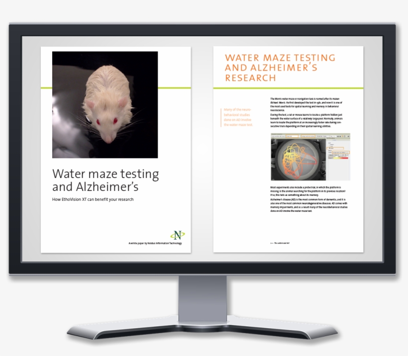 Morris Water Maze, transparent png download