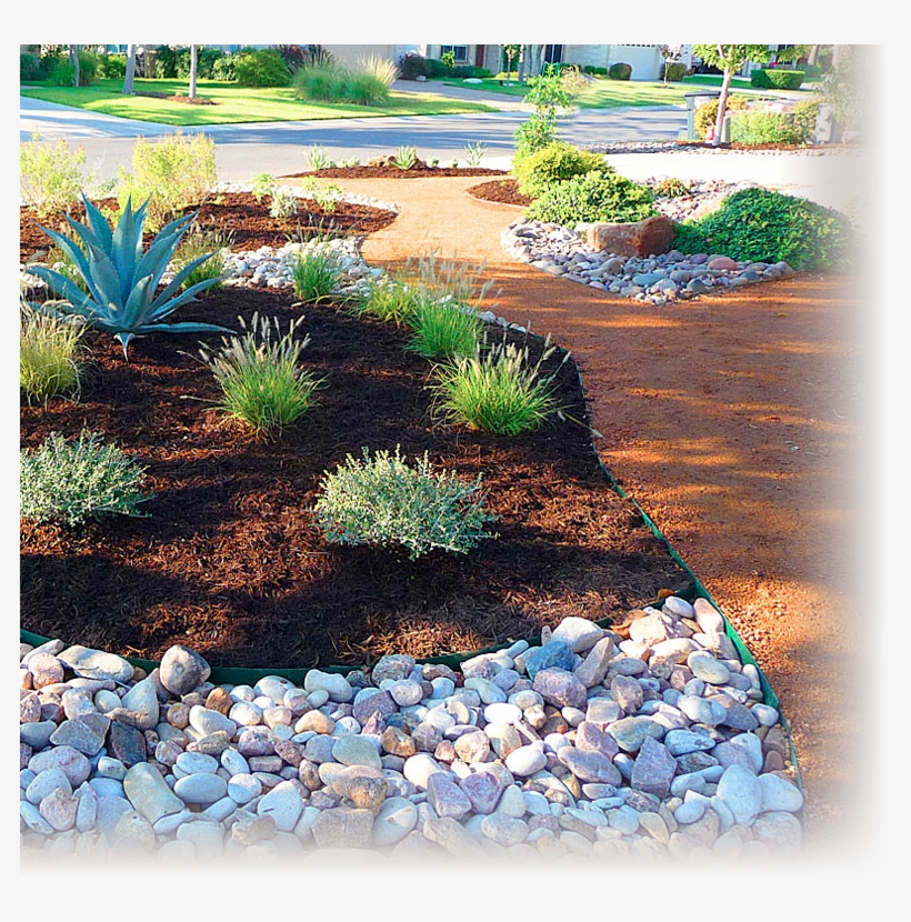 Low Water Landscaping, Front Yard Landscaping, Zero - Gravel, transparent png download