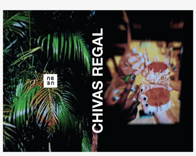 Attalea Speciosa, transparent png download