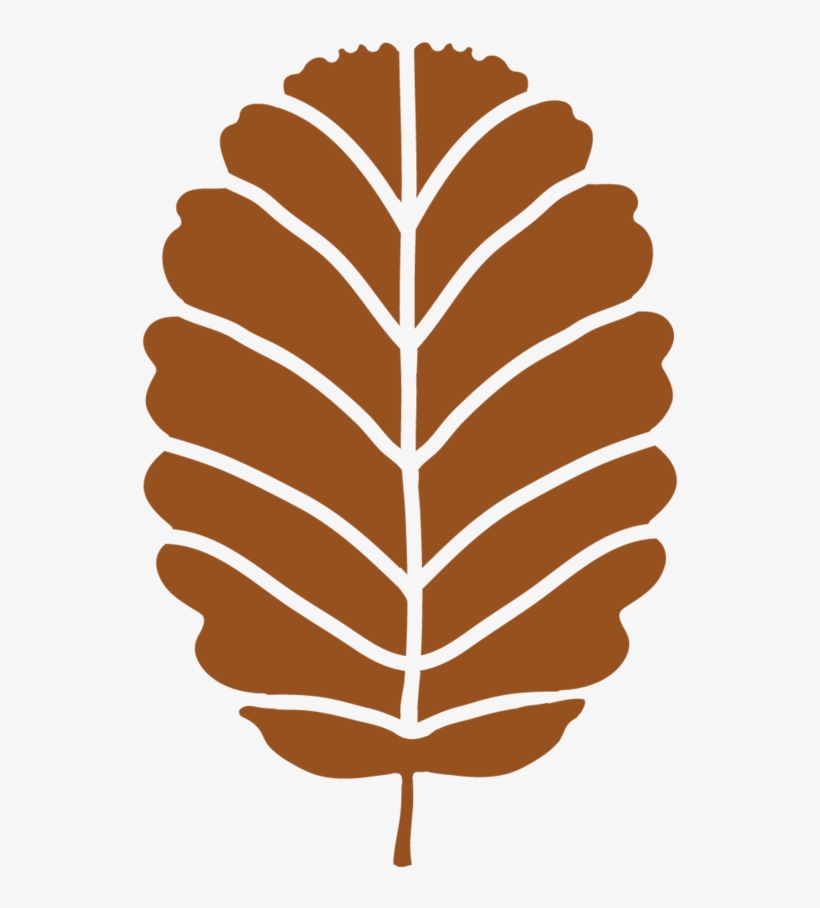 Hoja Y Arbol T-32 - Illustration, transparent png download