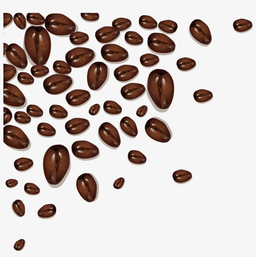 Coffee Bean Cafe Cocoa Bean - Coffee, transparent png download