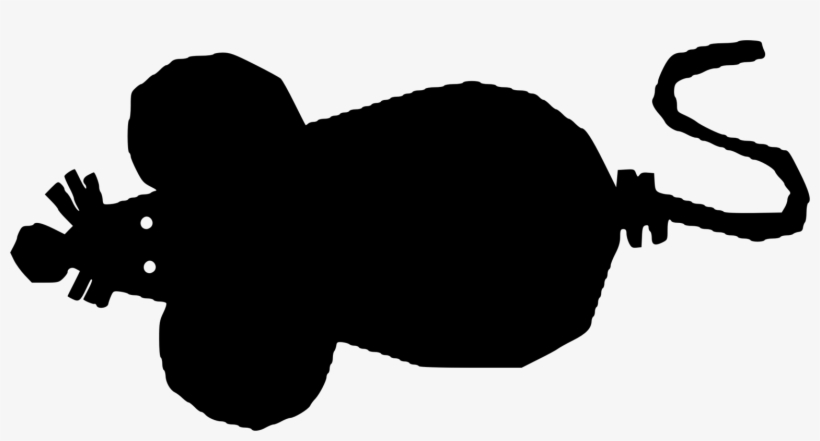 Red Squirrel Rodent Red Fox Animal, transparent png download