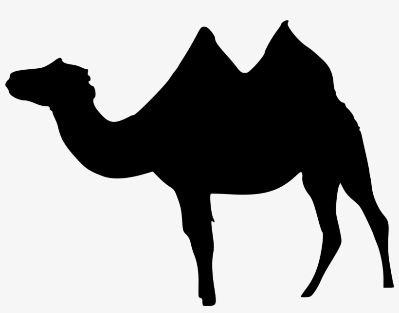 Filecamelus Bactrianus Sil - Bactrian Camel, transparent png download