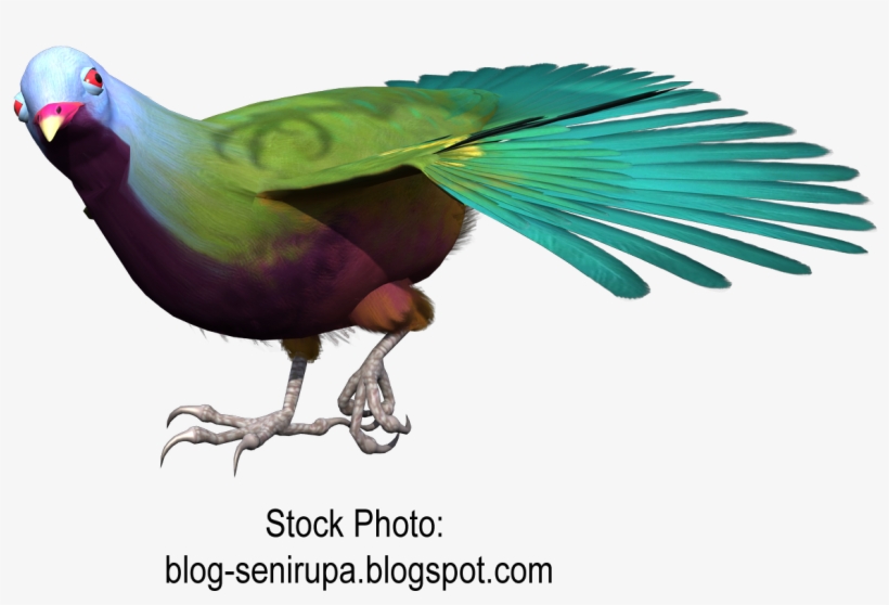 Goose Macaw Bird Gulls Beak Free Png Hq Clipart - Parakeet, transparent png download