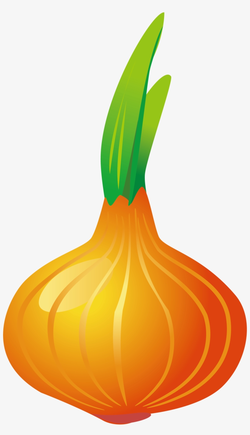 Svg Library Library Pumpkin Calabaza Vegetable Garlic - Welsh Onion, transparent png download