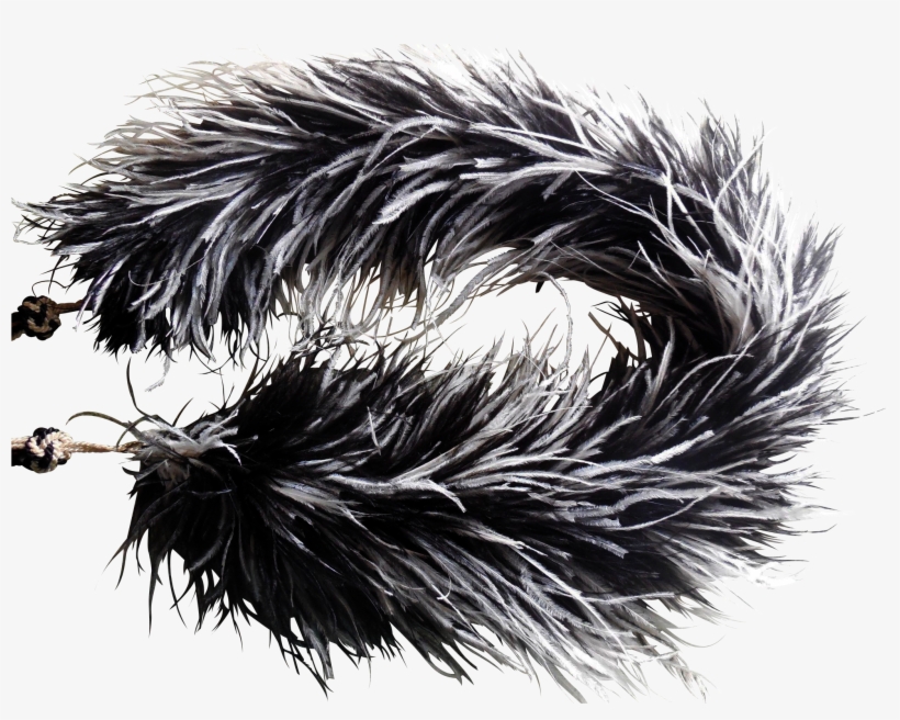 Rare Victorian Ostrich Iron Gate Antiques Ruby - Hog Nosed Skunk, transparent png download