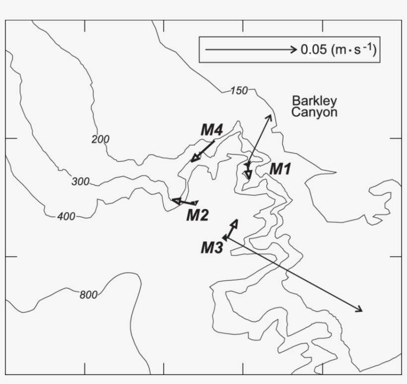 Averaged Filtered Currents In The Canyon - Line Art, transparent png download