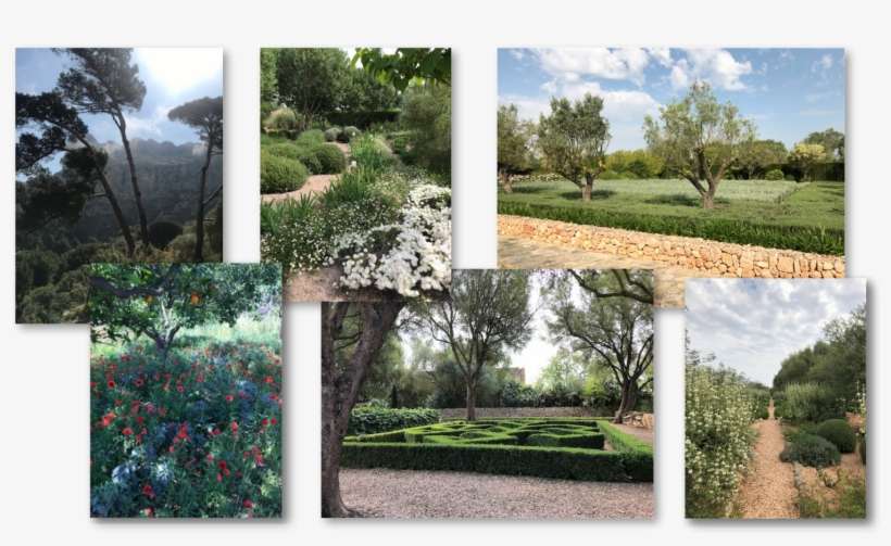 2019 Mallorca Hl - Botanical Garden, transparent png download
