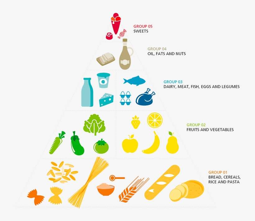 Food Pyramid, transparent png download
