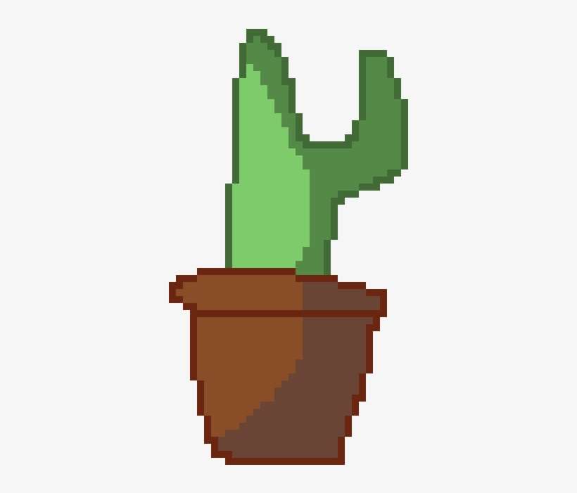 Cacti - Illustration, transparent png download