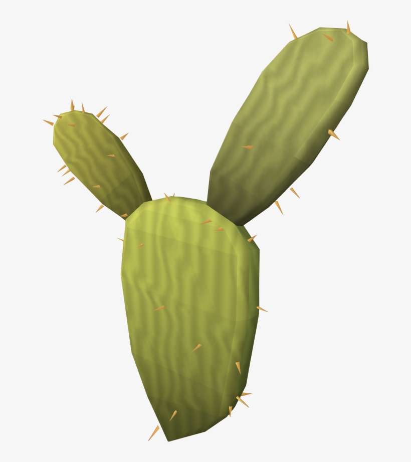 Kharidian Cactus - Runescape Cactus, transparent png download