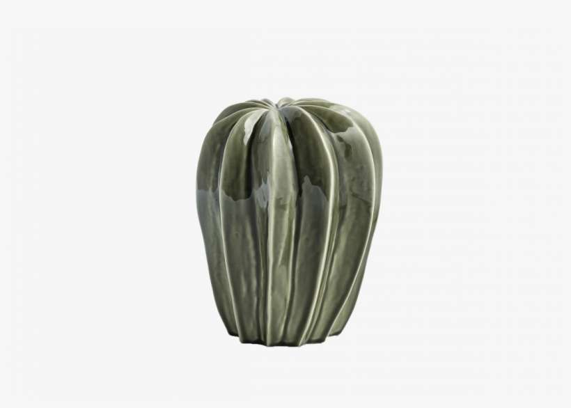 Cactus, transparent png download