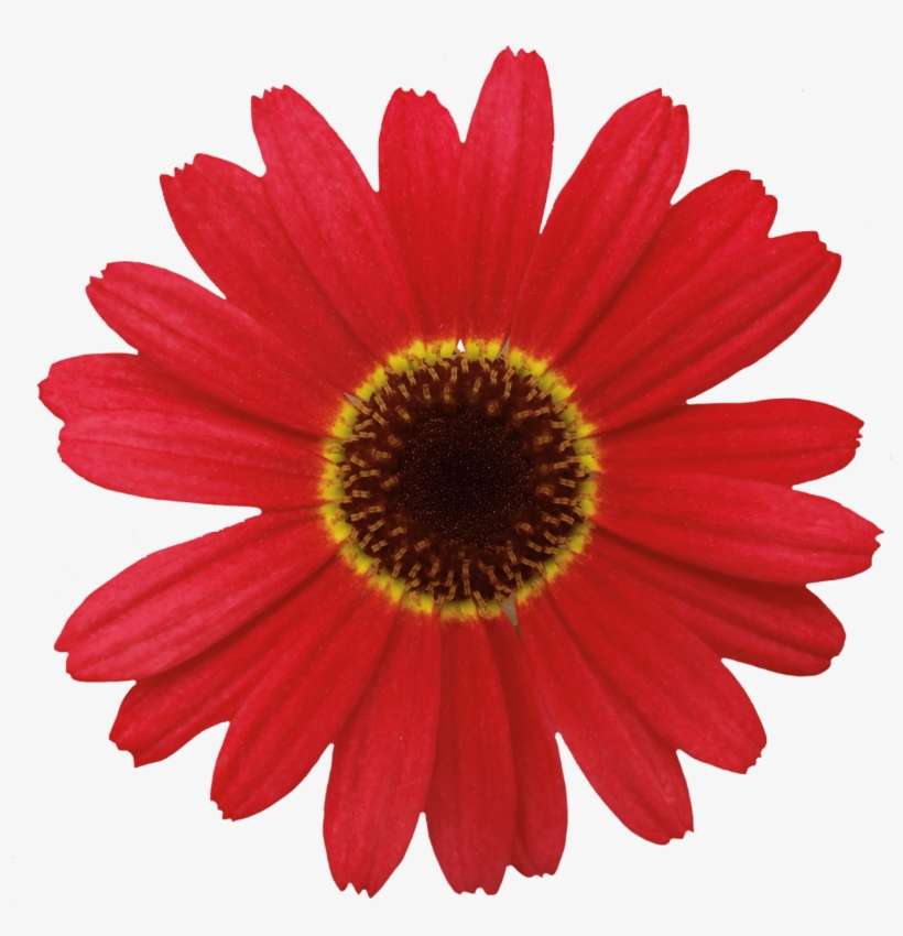 Click - Spike’s Auto Care & Tire, transparent png download