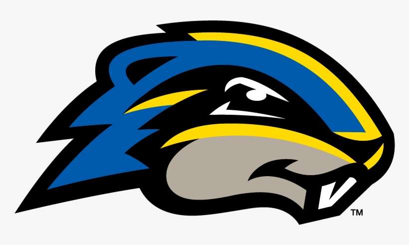 Bal Guess The Maryland College Mascots 009 - Goucher Gophers, transparent png download