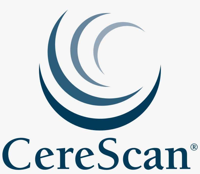 In Honor Of Veteran's Day Cerescan® Offers No Cost - Depelchin Children's Center, transparent png download