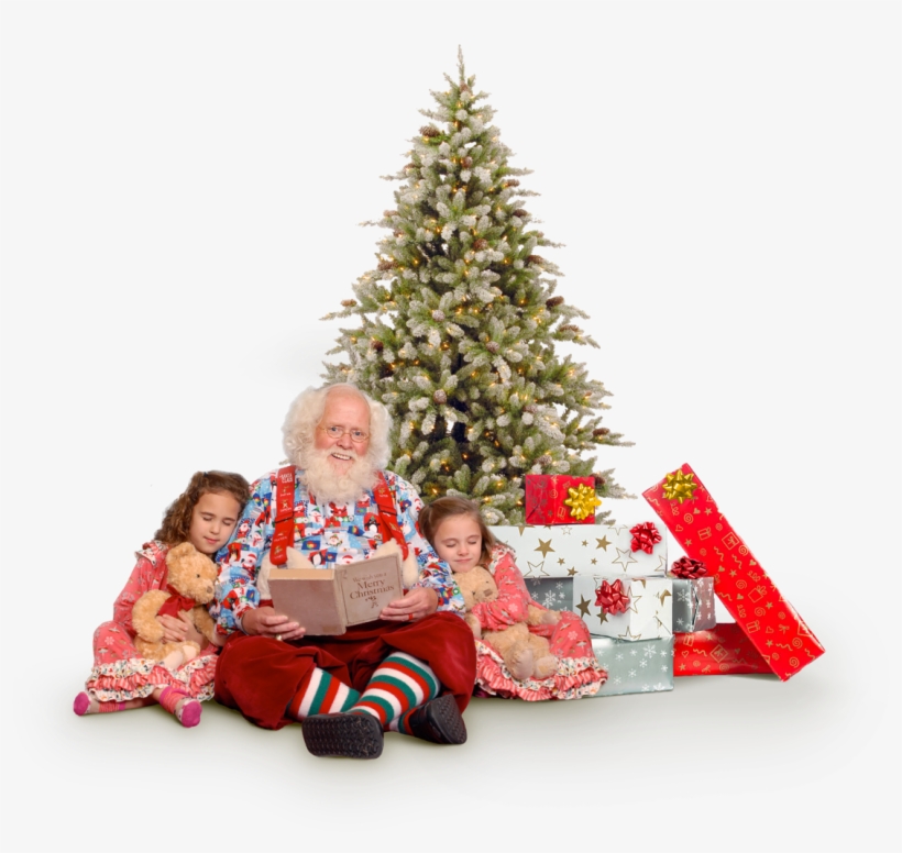 Png Tree Christmas Hd, transparent png download