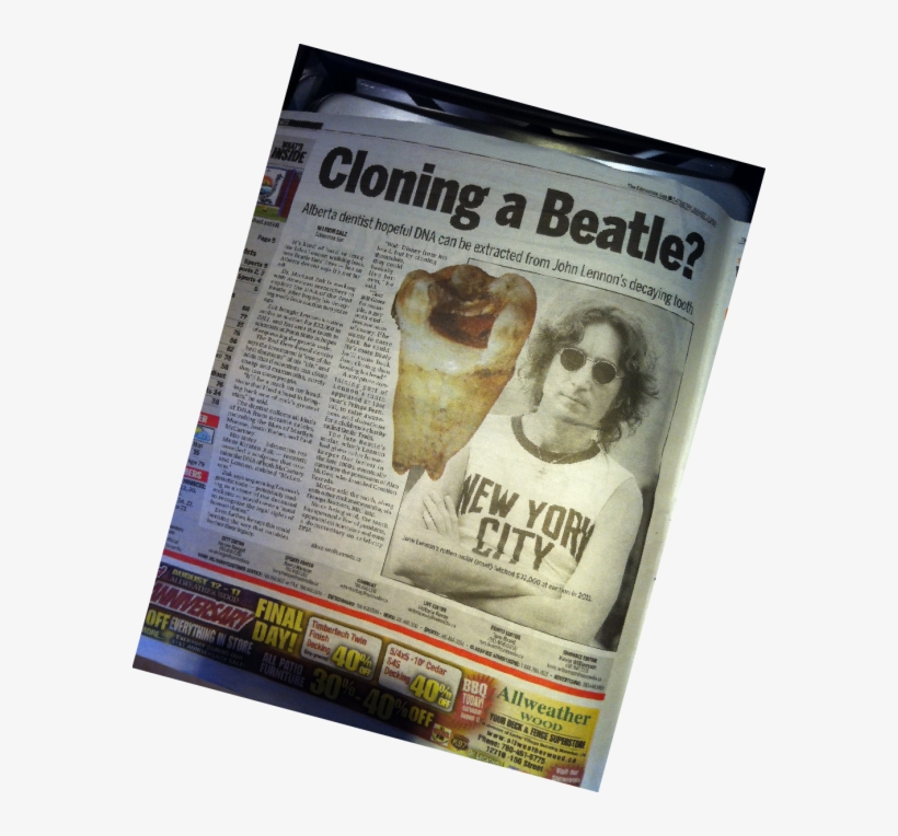 In Their Heyday, The Beatles May Have Been, As John - John Lennon Tooth, transparent png download