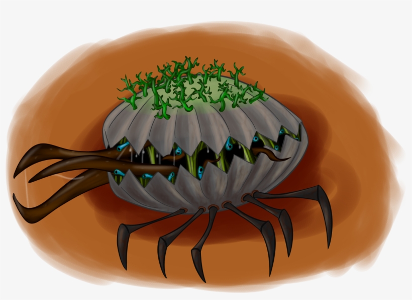 Addkc8h - Pumpkin, transparent png download
