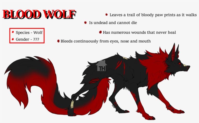 Recent Images - Wolf, transparent png download