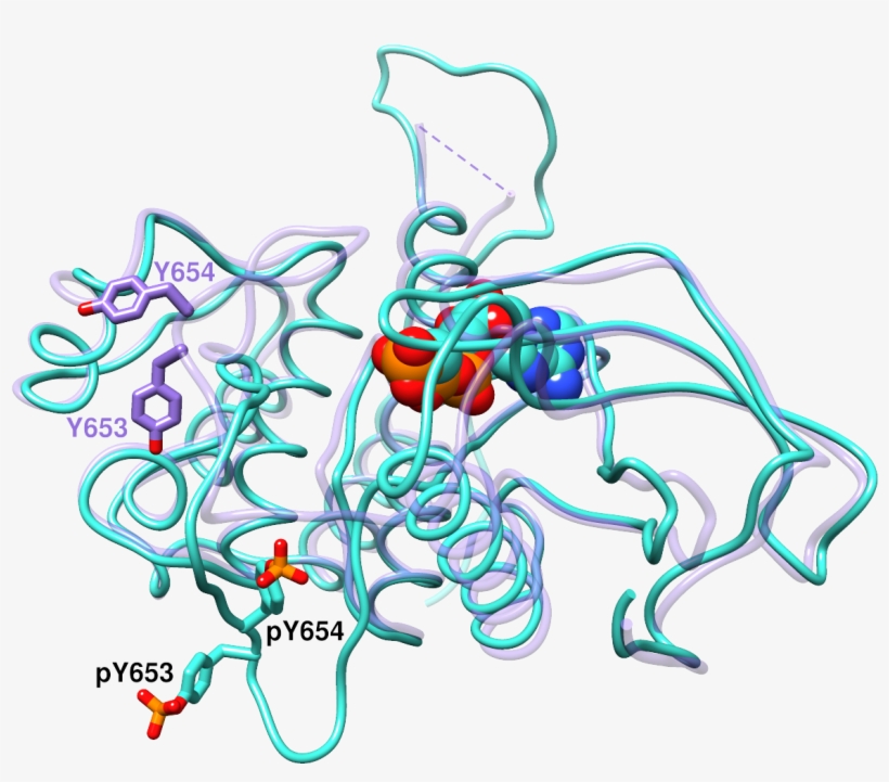 Chimera Images For Sop, Part 4 - Illustration, transparent png download